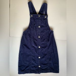 This is an Gap dress. The blue jumper is great school.